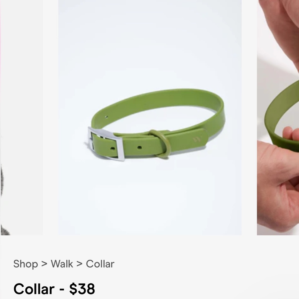 Wild One Dog Collar